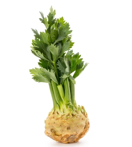 zeller